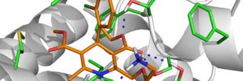  1-amlodipine_2.jpg