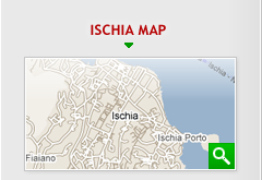 Ischia map