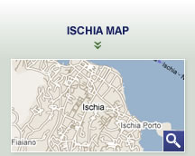 Ischia map