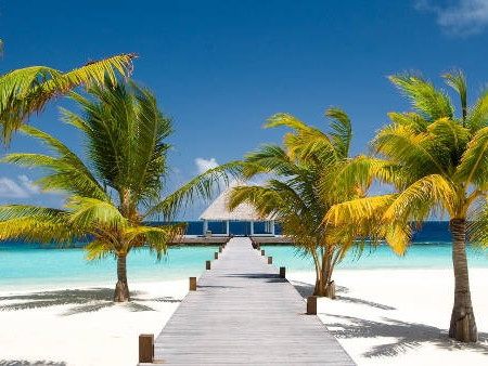 A dream holiday